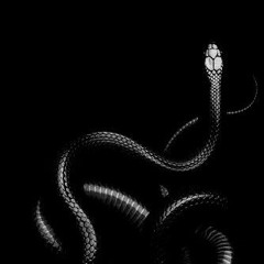 Skrillex - Agen Wida VIP