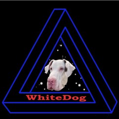HachiDog