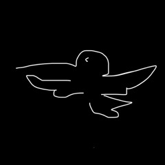 Colibri_dj