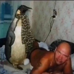 llllnnnnnvvk