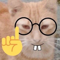 Wrrrr59