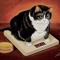 TuxCat01