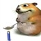 Delp