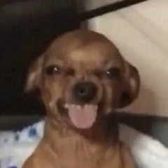 yourfavoritetunisian