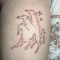 borzoi