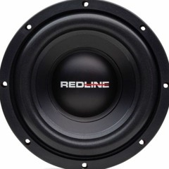 BASSKING