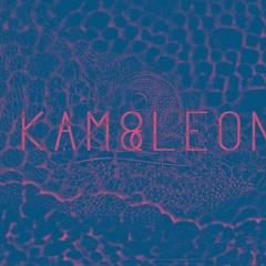 KAM&LEON