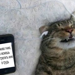 perkie_