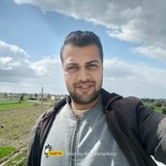 Amr EL Sherbiny