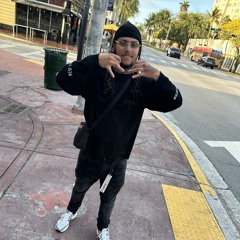 Trapp Dulazz