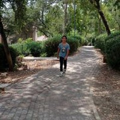 נועם סינואני