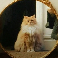 BlueBell