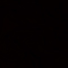 PartlessYT Collective