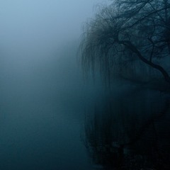 Left in the Dark