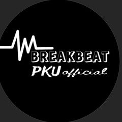 breakbeat_pku