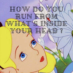 InTheRabbitHole