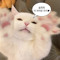 공주