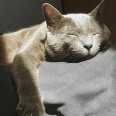 a b a d ~ m e r c e d e s