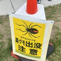 kenta