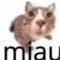 User 844519725