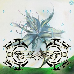 ☆☆☆☆☆☆☆☆