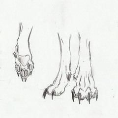 theRagers