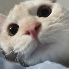 sally