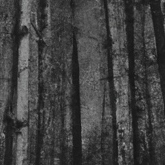 Radio silence