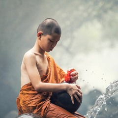 Absolute Zen With RJ