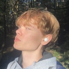 mycutsitch