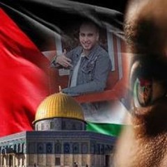 Mohamed ALsayed