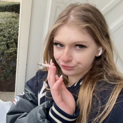 bellabee