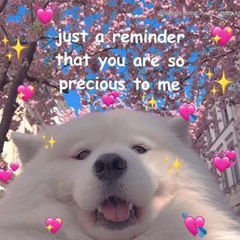 dog@