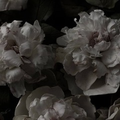 ✩