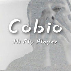 Hi Fly Player