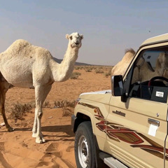 منيفة الشمري 💕