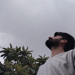 Syeds
