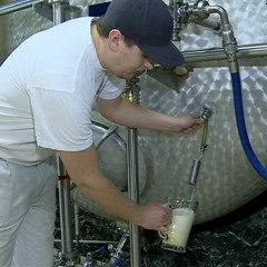 Tollef Yttri Solsrud