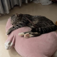 người tồi