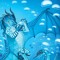 RileyTheSeawing