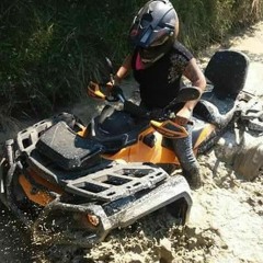 Cindy Willekens-Janssens