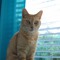 Bcatty