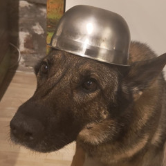 semper, säde