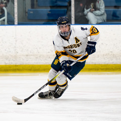 gavinbulger