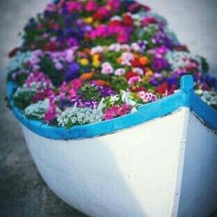 Eman adel
