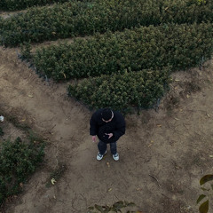 Dejavu23