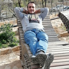 bahram kiaeifar