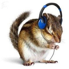 Pedrinho Musics
