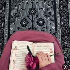 Salma Elshaikh