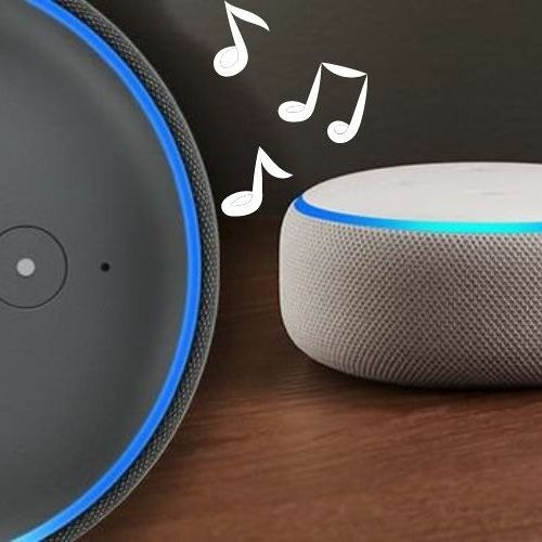 Quartal Sobriquette von jetzt an soundcloud echo dot Lose